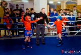 В Клубе боев смешанного стиля «MMA ZONE» прошел Рейтинговый турнир 